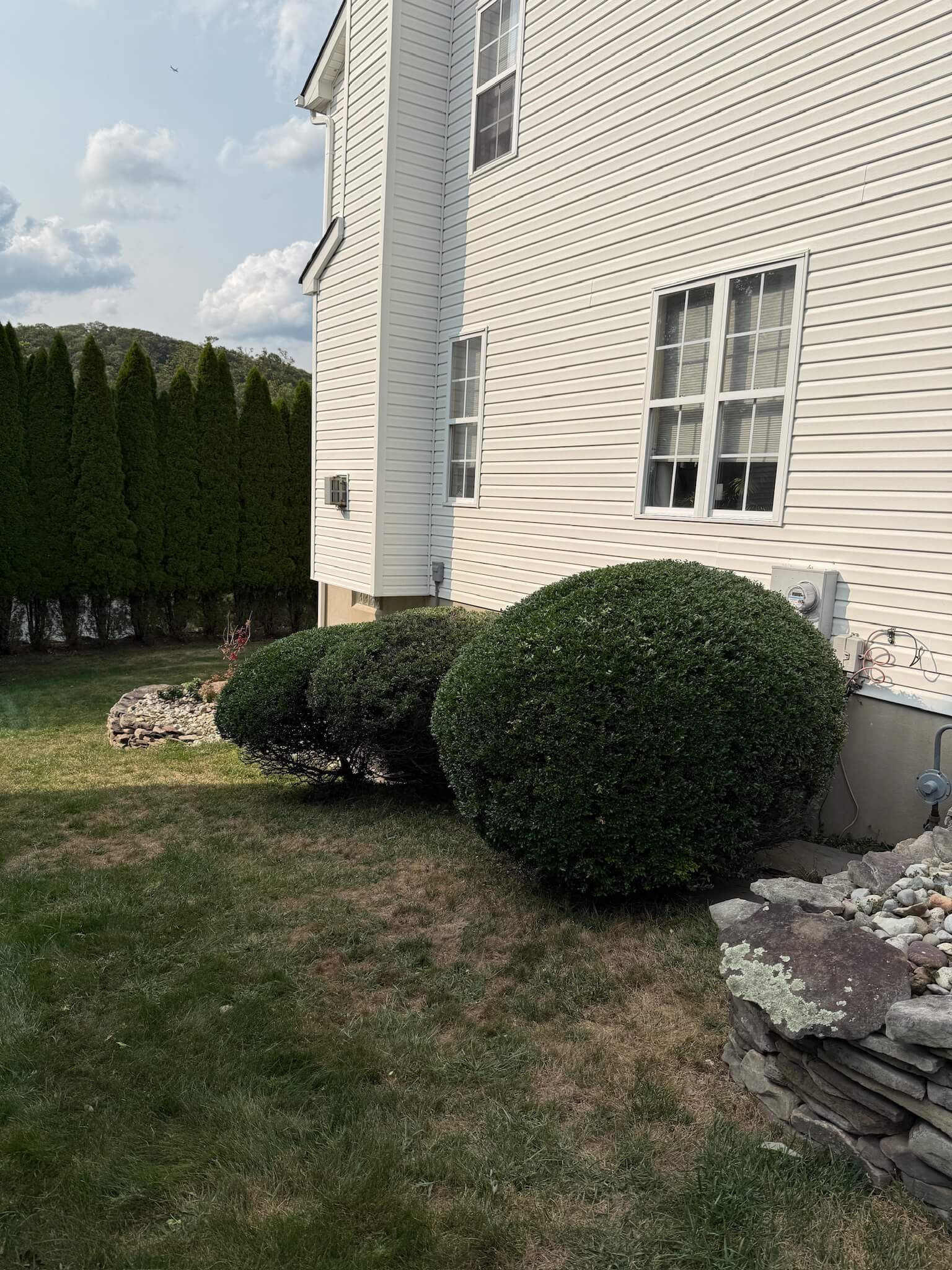 Bush Removal