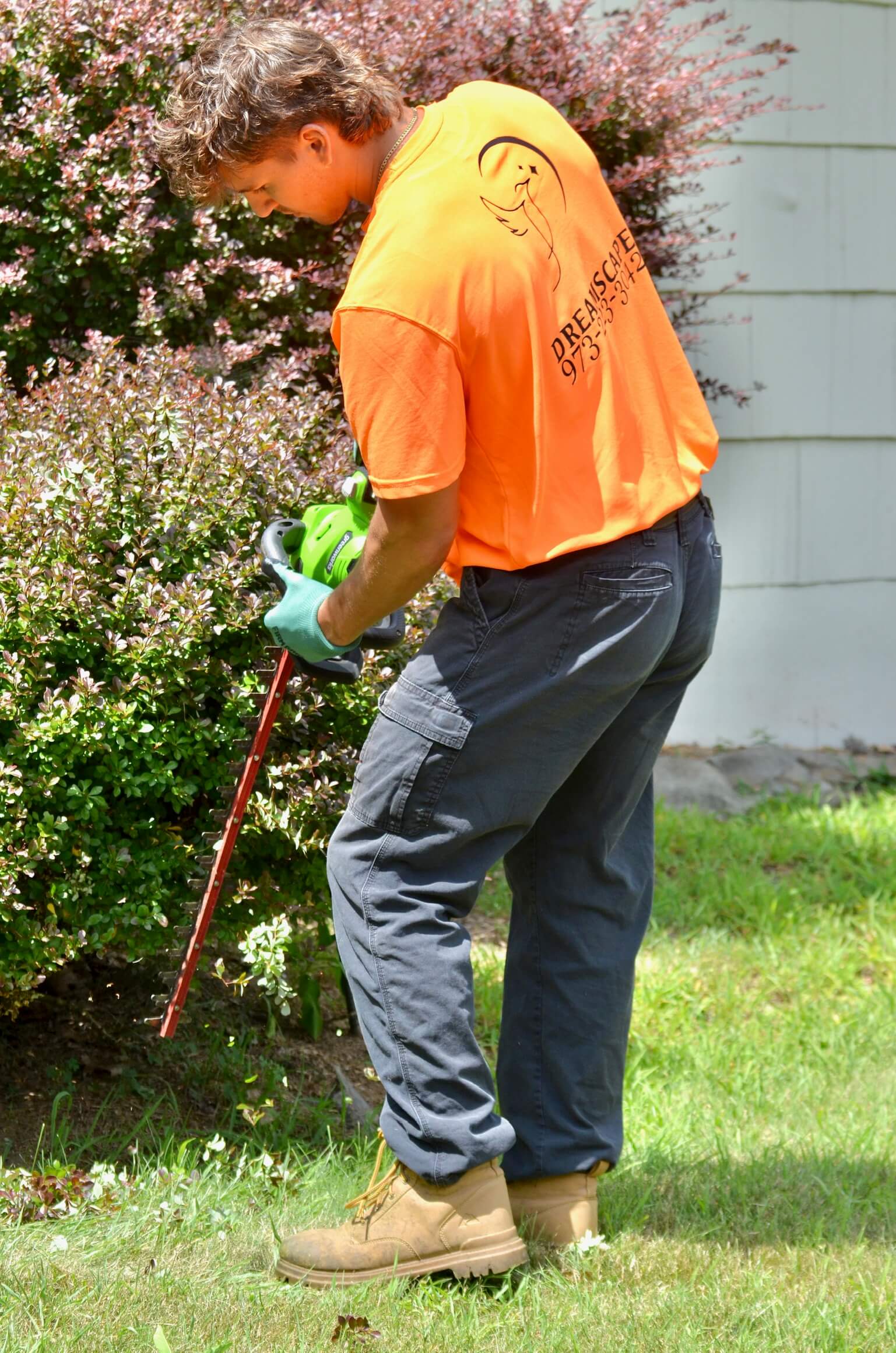 Hedge & Shrub Trimming