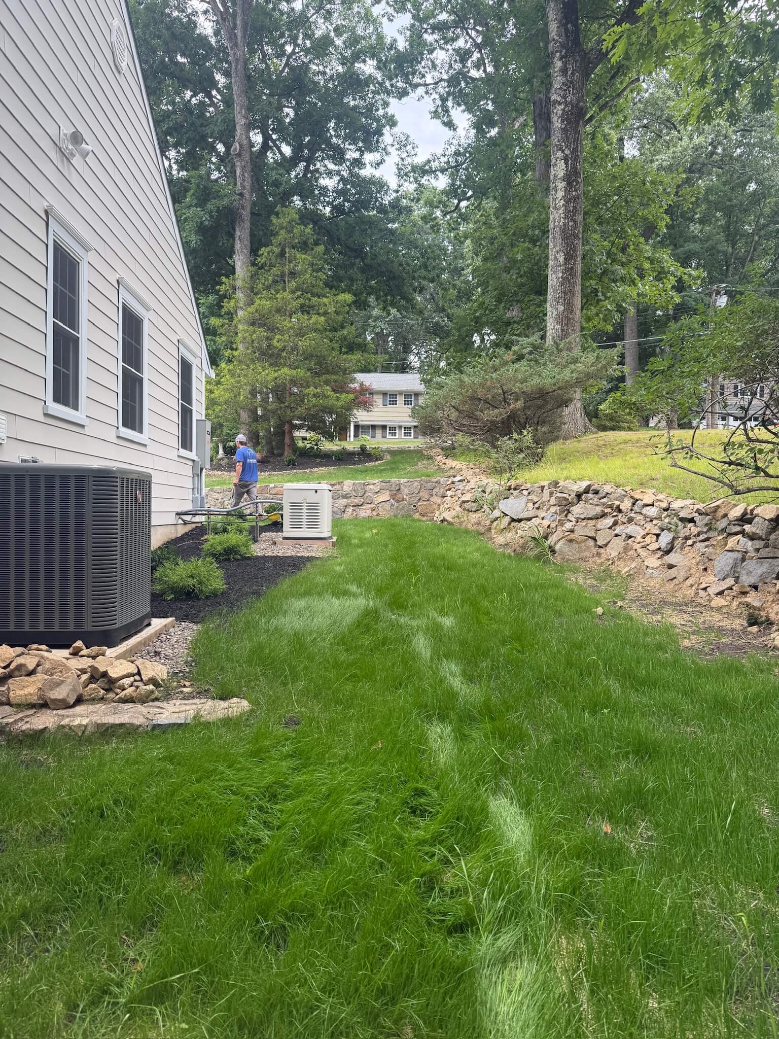 Full, lush lawn