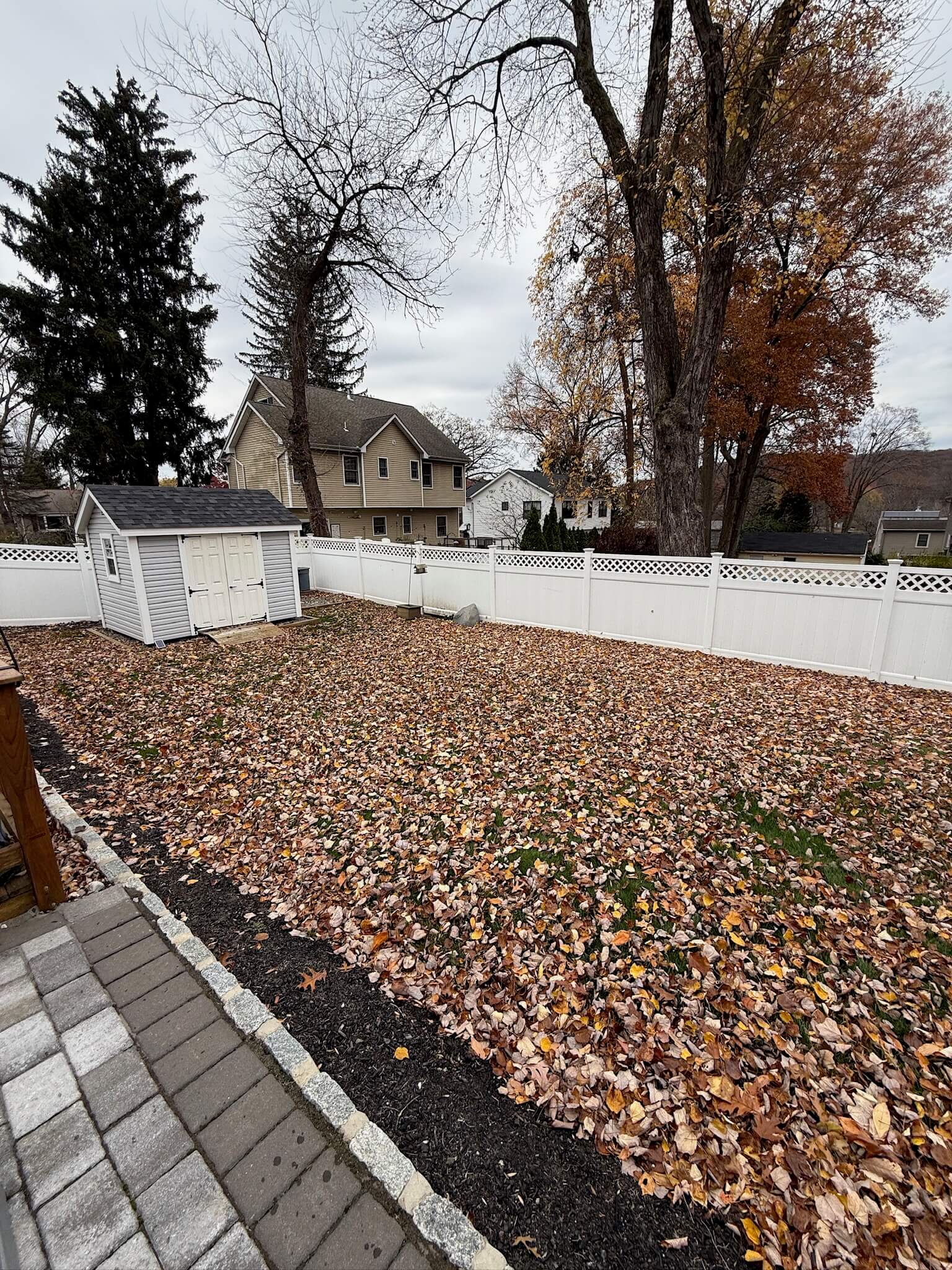 Yard Cleanups (All Seasons)