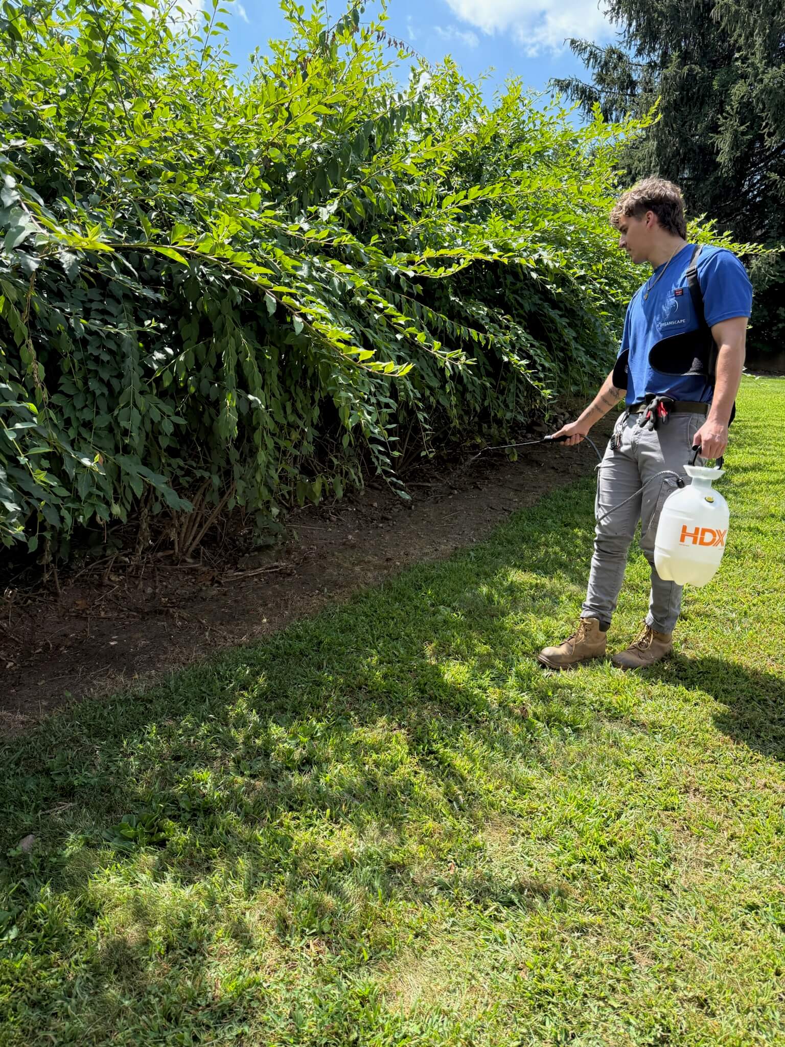 Pest Control Spraying