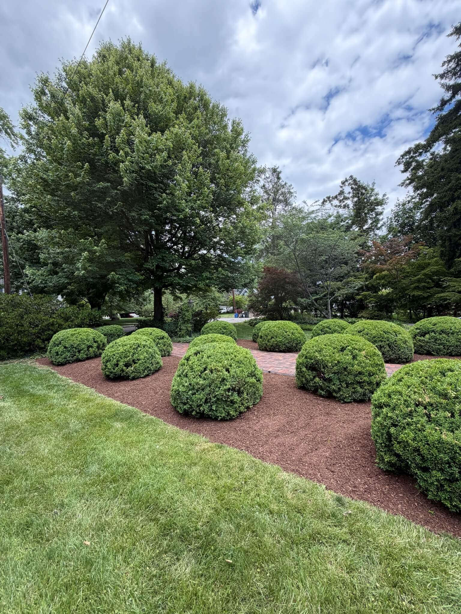 Finished landscaping work by Dreamscape Home Services