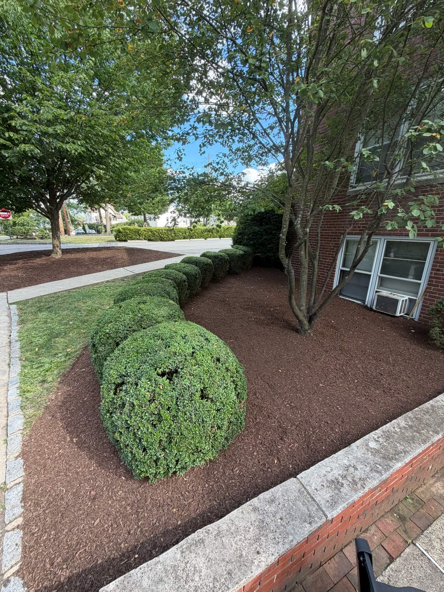 Finished landscaping work by Dreamscape Home Services