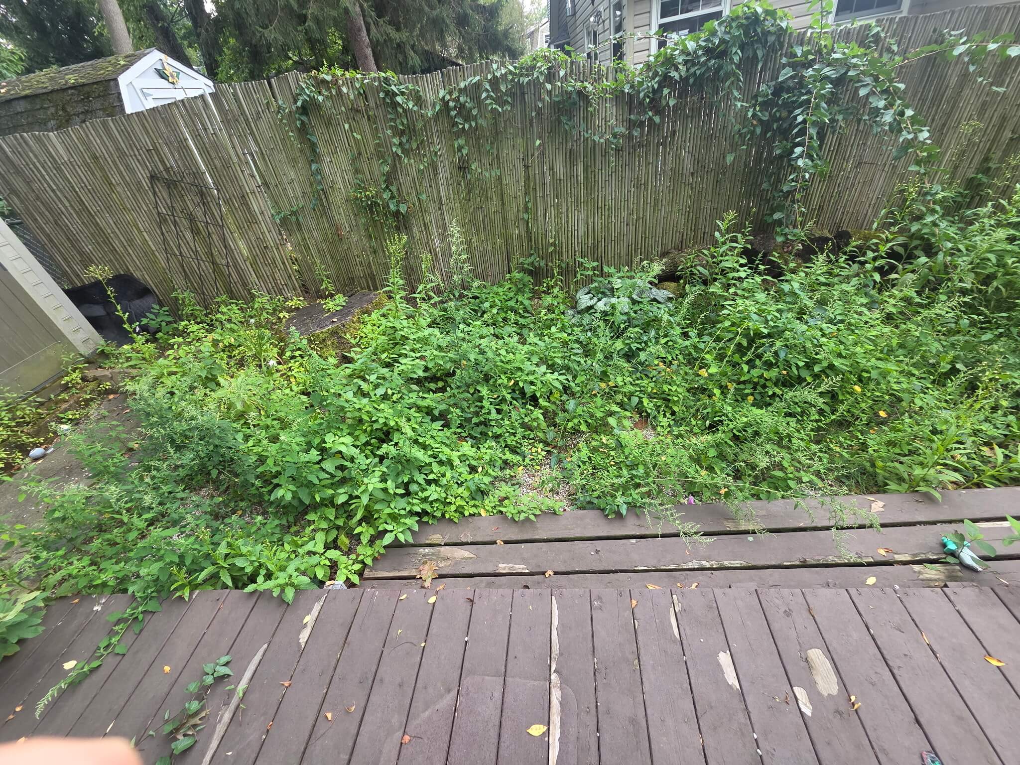 Before
