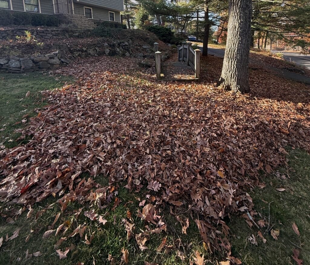 fced417d 3240 409b be3e ee9fb727f0b9